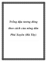 Trồng đậu tương đông theo cách của nông dân Phú Xuyên (Hà Tây) potx