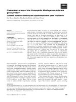 Báo cáo khoa học: Characterization of the Drosophila Methoprene -tolerant gene product Juvenile hormone binding and ligand-dependent gene regulation potx