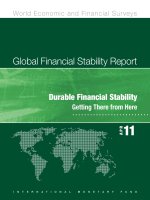 Global Financial Stability Report - Durable Financial Stability potx