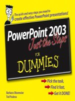 microsoft office powerpoint 2003 just the steps for dummies may 2006