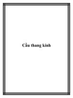 Cầu thang kính doc