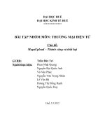 Chủ đề: MegaUpload – Thành công và thất bại pptx