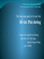 PhuDuong. Tiểu luận k49 BK docx