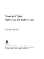prentice hall advanced ajax, architecture and best practices (2008)