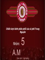Chiến lược kênh phân phối của cà phê Trung Nguyên pot