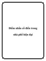 Điểm nhấn cổ điển trong nhà phố hiện đại pot