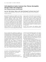 Báo cáo Y học: Cold adaptation of xylose isomerase from Thermus thermophilus through random PCR mutagenesis Gene cloning and protein characterization doc