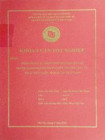 phân tích các biện pháp tạo thuận lợi trong kinh doanh trong môi trường đầu tư trực tiếp nước ngoài tại việt nam