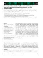 Báo cáo khoa học: Exosites mediate the anti-inﬂammatory effects of a multifunctional serpin from the saliva of the tick Ixodes ricinus potx