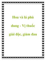 Hoa và lá phù dung - Vị thuốc giải độc, giảm đau ppt