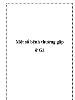 Một số bệnh thường gặp ở Gà docx