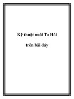 Kỹ thuật nuôi Tu Hài trên bãi đáy pot