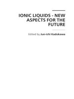 IONIC LIQUIDS - NEW ASPECTS FOR THE FUTURE pdf