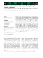Báo cáo khoa học: Nucling interacts with nuclear factor-jB, regulating its cellular distribution potx