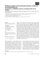 Báo cáo khoa học: Molecular analysis of the interaction between cardosin A and phospholipase Da Identiﬁcation of RGD/KGE sequences as binding motifs for C2 domains pdf