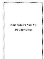 Kinh Nghiệm Nuôi Vịt Đẻ Chạy Đồng ppt