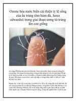 Ozone hóa nước biển cải thiện tỷ lệ sống của ấu trùng tôm hùm đá, Jasus edwardsii trong giai đoạn ương từ trứng lên con giống pdf