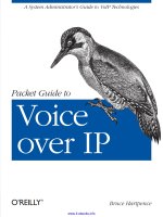 Packet Guide to Voice over IP pot