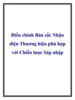 Điều chỉnh Bản sắc Nhận diện Thương hiệu phù hợp với Chiến lược Sáp nhập doc