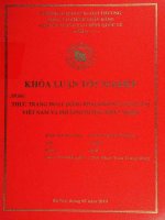 thực trạng hoạt động phái sinh ngoại tệ tại việt nam và phương án phát triển