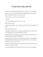 Truyện chum vàng, chum rắn pptx