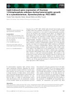 Báo cáo khoa học: Light-induced gene expression of fructose 1,6-bisphosphate aldolase during heterotrophic growth in a cyanobacterium, Synechocystis sp. PCC 6803 ppt