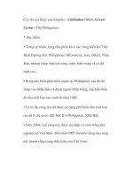 Các tên gọi khác của rong nho pptx