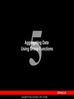 Aggregating Data Using Group Functions pot
