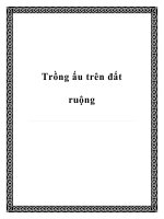 Trồng ấu trên đất ruộng docx