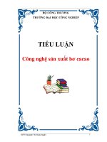 TIỂU LUẬN: Công nghệ sản xuất bơ cacao potx