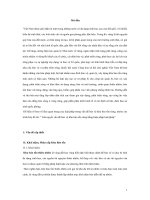 Công cụ giải quyết vấn đề Khu bảo tồn Rừng potx