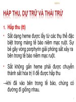 CHUYỂN HÓA SẮT docx