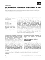 Báo cáo khoa học: The reconstitution of mammalian prion infectivity de novo pot