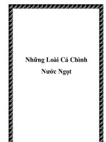Những Loài Cá Chình Nước Ngọt potx