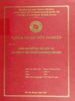 Nâng cao hiệu quả bảo hiểm P&I của công ty vận tải biển Container Vinalines