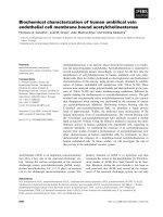Báo cáo khoa học: Biochemical characterization of human umbilical vein endothelial cell membrane bound acetylcholinesterase ppt