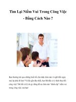 Tìm Lại Niềm Vui Trong Công Việc - Bằng Cách Nào ? docx