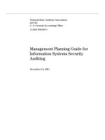 Management Planning Guide for Information Systems Security Auditing pot