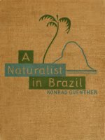 A naturalist in Brazil; the record of a year''''s observation of her flora, her fauna, and her people pptx