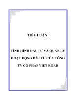 tình hình đầu tư và quản lý hoạt động đầu tư của công ty cổ phần viet road