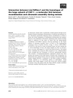 Báo cáo khoa học: Interaction between Lim15/Dmc1 and the homologue of the large subunit of CAF-1 – a molecular link between recombination and chromatin assembly during meiosis pot