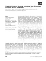 Báo cáo khoa học: Characterization of solanesyl and decaprenyl diphosphate synthases in mice and humans docx