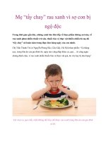 Mẹ “tẩy chay” rau xanh vì sợ con bị ngộ độc ppt