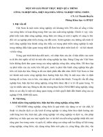 Một số giải pháp thực hiện quá trình công nghiệp hóa, hiện đại hóa nông nghiệp nông thôn doc