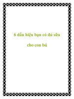 6 dấu hiệu bạn có đủ sữa cho con bú pptx
