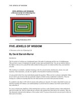 FIVE JEWELS OF WISDOM doc