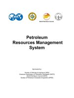 Petroleum Resources Management System pdf