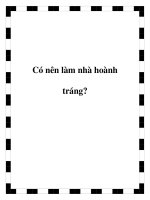 Có nên làm nhà hoành tráng? potx