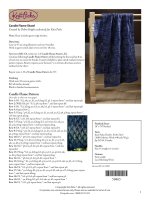 Candle Flame Shawl Created by Debra Bright exclusively for Knit Picks doc