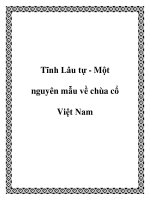 Tĩnh Lâu tự - Một nguyên mẫu về chùa cổ Việt Nam pptx